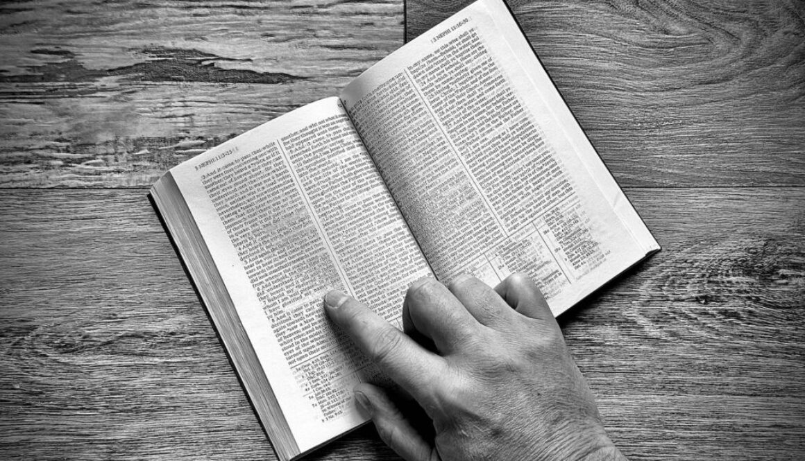 IMG_0145 (1) IMG_0145 (1)